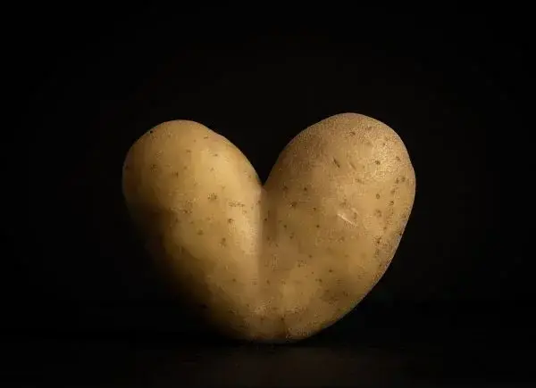 potato shaped like a heart