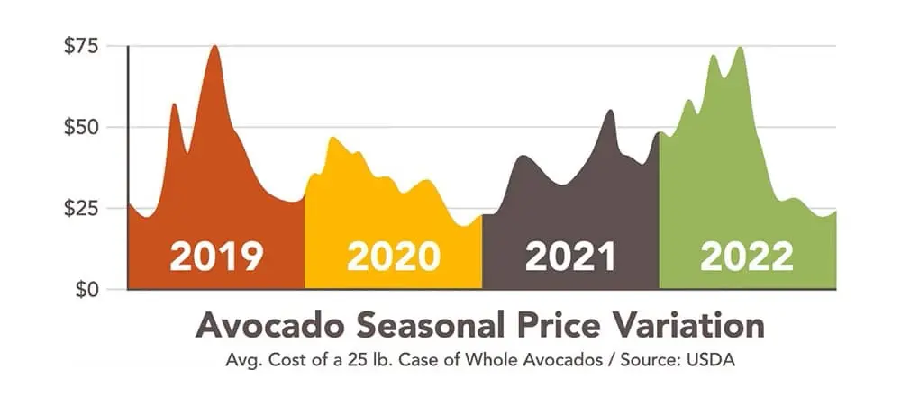 Avocado Seasonal Price Variation Chart